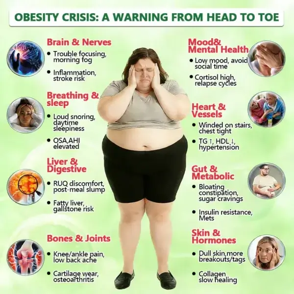 ๐๐๐๐จ๐ฆ๐ฆ๐๐ง๐๐๐ ๐๐ฒ ๐ญ๐ก๐ ๐๐จ๐๐ญ๐จ๐ซ ๐ข๐ง ๐๐๐๐ข๐๐ข๐ง๐ ๐ฉโโ๏ธ| ๐ด๐๐ฅ๐ฆ๐๐ยฎ ๐ญ๐-๐๐-๐ ๐๐๐ฃ๐ค-๐ด๐๐๐๐๐๐๐๐
๐๐ ๐ฉ๐๐๐๐๐ง๐๐ฃ๐ ๐ท๐๐ฉ๐๐