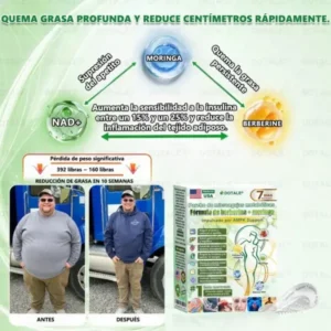 ๐ซ๐ถ๐ป๐จ๐ณ๐ฌยฎ Parche de Microagujas Nano Avanzado 10 en 1 con Moringa Berberina y NAD+