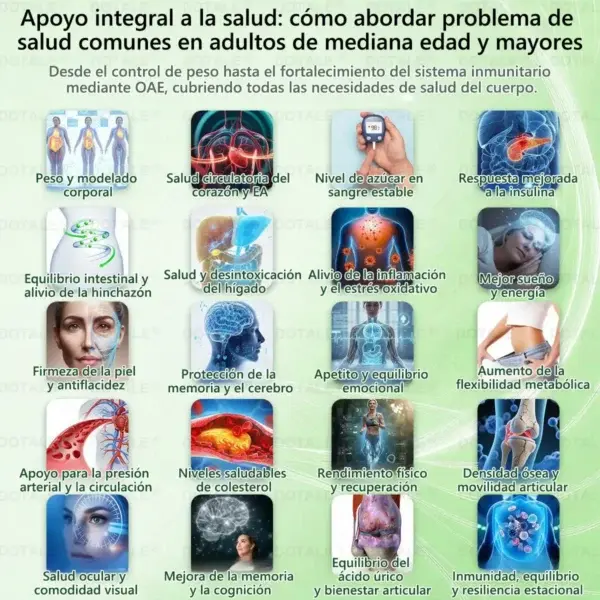 ๐ซ๐ถ๐ป๐จ๐ณ๐ฌยฎ Parche de Microagujas Nano Avanzado 10 en 1 con Moringa Berberina y NAD+