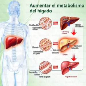 ๐ซ๐ถ๐ป๐จ๐ณ๐ฌยฎ Parche de Microagujas Nano Avanzado 10 en 1 con Moringa Berberina y NAD+