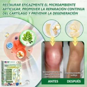 ๐ซ๐ถ๐ป๐จ๐ณ๐ฌยฎ Parche de Microagujas Nano Avanzado 10 en 1 con Moringa Berberina y NAD+