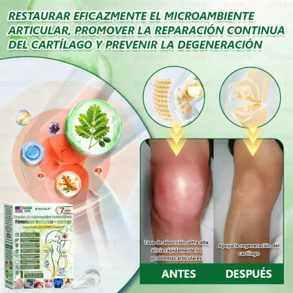๐ซ๐ถ๐ป๐จ๐ณ๐ฌยฎ Parche de Microagujas Nano Avanzado 10 en 1 con Moringa Berberina y NAD+