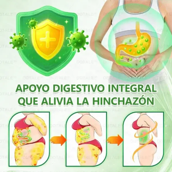 ๐ซ๐ถ๐ป๐จ๐ณ๐ฌยฎ Parche de Microagujas Nano Avanzado 10 en 1 con Moringa Berberina y NAD+
