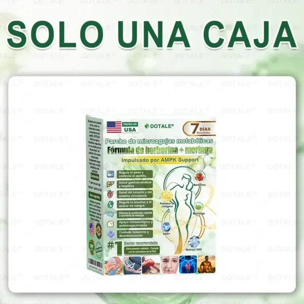 ๐ซ๐ถ๐ป๐จ๐ณ๐ฌยฎ Parche de Microagujas Nano Avanzado 10 en 1 con Moringa Berberina y NAD+