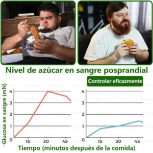 ๐ซ๐ถ๐ป๐จ๐ณ๐ฌยฎ Parche de Microagujas Nano Avanzado 10 en 1 con Moringa Berberina y NAD+