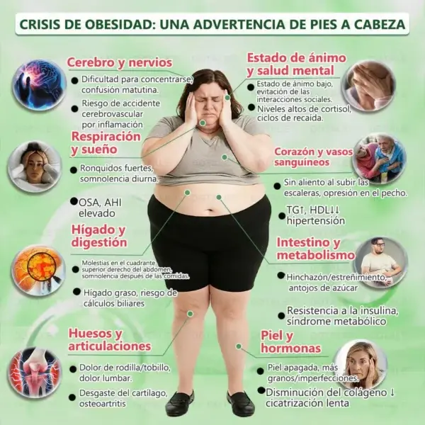 ๐ซ๐ถ๐ป๐จ๐ณ๐ฌยฎ Parche de Microagujas Nano Avanzado 10 en 1 con Moringa Berberina y NAD+